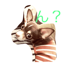 [LINEスタンプ] りく☆れん