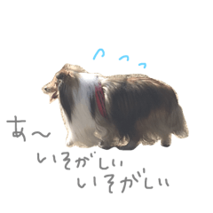[LINEスタンプ] くうやん