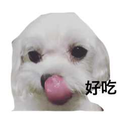 [LINEスタンプ] cutedogmybaby