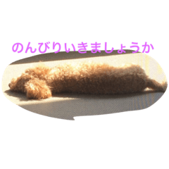 [LINEスタンプ] 役に立つ挨拶
