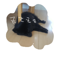 [LINEスタンプ] 我が家の愛犬、くろ