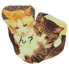 [LINEスタンプ] タマゴロ