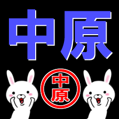 [LINEスタンプ] 超★中原(なかはら・なかばら)なウサギの画像（メイン）