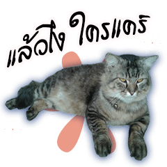 [LINEスタンプ] Gas Single page cat