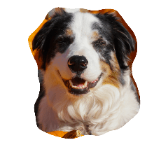 [LINEスタンプ] animal funny faces