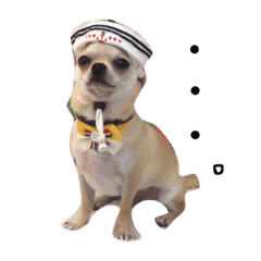 [LINEスタンプ] ウィルくんスタンプ