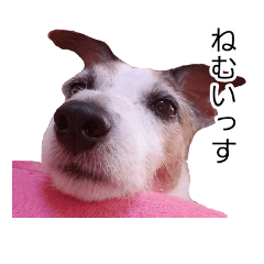 [LINEスタンプ] wan-note2