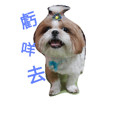 [LINEスタンプ] Buddingmuni