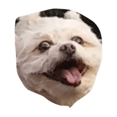 [LINEスタンプ] つきけいま