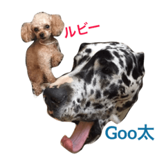 [LINEスタンプ] ルビー＆Goo太