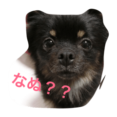 [LINEスタンプ] おはぎ☆