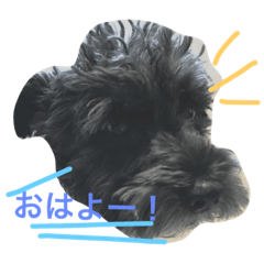 [LINEスタンプ] 黒シュナあーちゃん