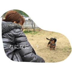 [LINEスタンプ] 我が家のペット1