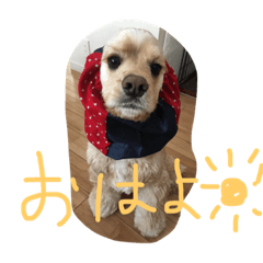 [LINEスタンプ] ダイナな毎日
