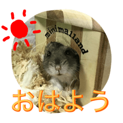 [LINEスタンプ] ハムスターの1日