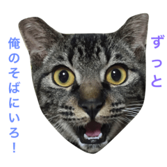 [LINEスタンプ] Love.pet 6