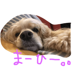[LINEスタンプ] ダイナな毎日②