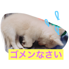 [LINEスタンプ] 星子のひと時