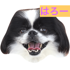 [LINEスタンプ] ころばるさん