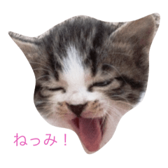 [LINEスタンプ] ひげみん