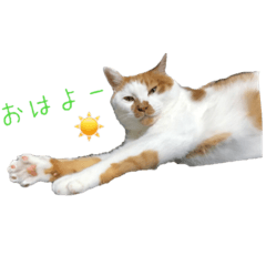 [LINEスタンプ] 峰 蔵 スタンプ