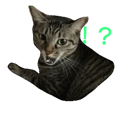 [LINEスタンプ] わかなず大