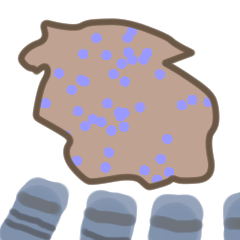 [LINEスタンプ] IHC ＆ Western Blot Small Creatures