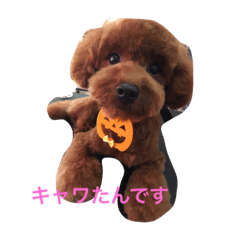 [LINEスタンプ] コロたんです