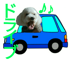 [LINEスタンプ] 愛犬すいか