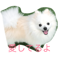 [LINEスタンプ] riri Love you