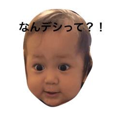 [LINEスタンプ] 虫くん りひと