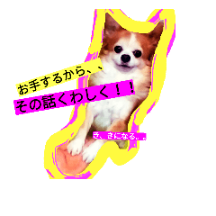 [LINEスタンプ] チワワのチワゾウ。