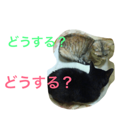 [LINEスタンプ] p.s.s.p