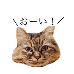 [LINEスタンプ] りずむすたんぷ