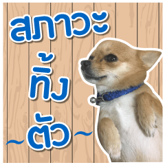 [LINEスタンプ] Kane ＆ The Gang