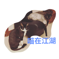 [LINEスタンプ] Do Mi the Cats