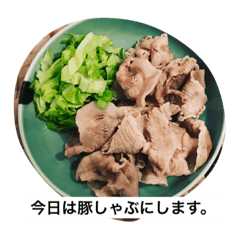 [LINEスタンプ] 今日のご飯はこちらになります。