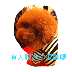 [LINEスタンプ] MarukoBaby