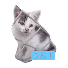 [LINEスタンプ] 愛しのチビ♡