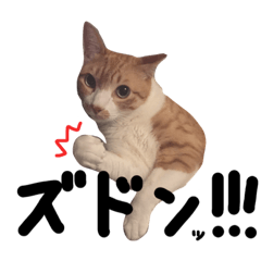 [LINEスタンプ] むぎもぐ3
