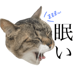 [LINEスタンプ] 公園の猫ちゃん's