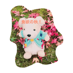 [LINEスタンプ] 日常で使える犬のコロちゃん