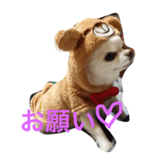 [LINEスタンプ] nijinohashinomomo2