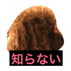 [LINEスタンプ] リリィ＆ルーク