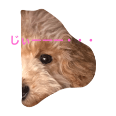 [LINEスタンプ] ヤマダビビ