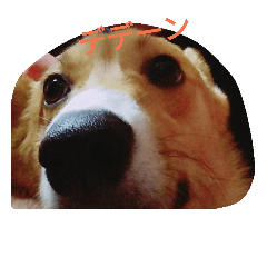 [LINEスタンプ] kinako'sstamp2