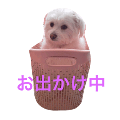 [LINEスタンプ] ピオンくん