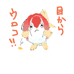 [LINEスタンプ] 魚金