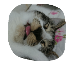 [LINEスタンプ] マロン マロン