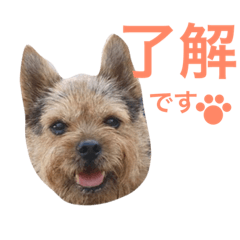 [LINEスタンプ] ぼくスキップです！part②